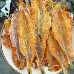 Khô cá mối Quy Nhơn