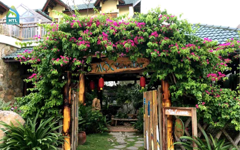 Top 5 Homestay Làng Chài Nhơn Lý "Đỉnh Của Chóp" Cho Chuyến Du Lịch Tuyệt Vời