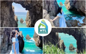 mũi vi rồng